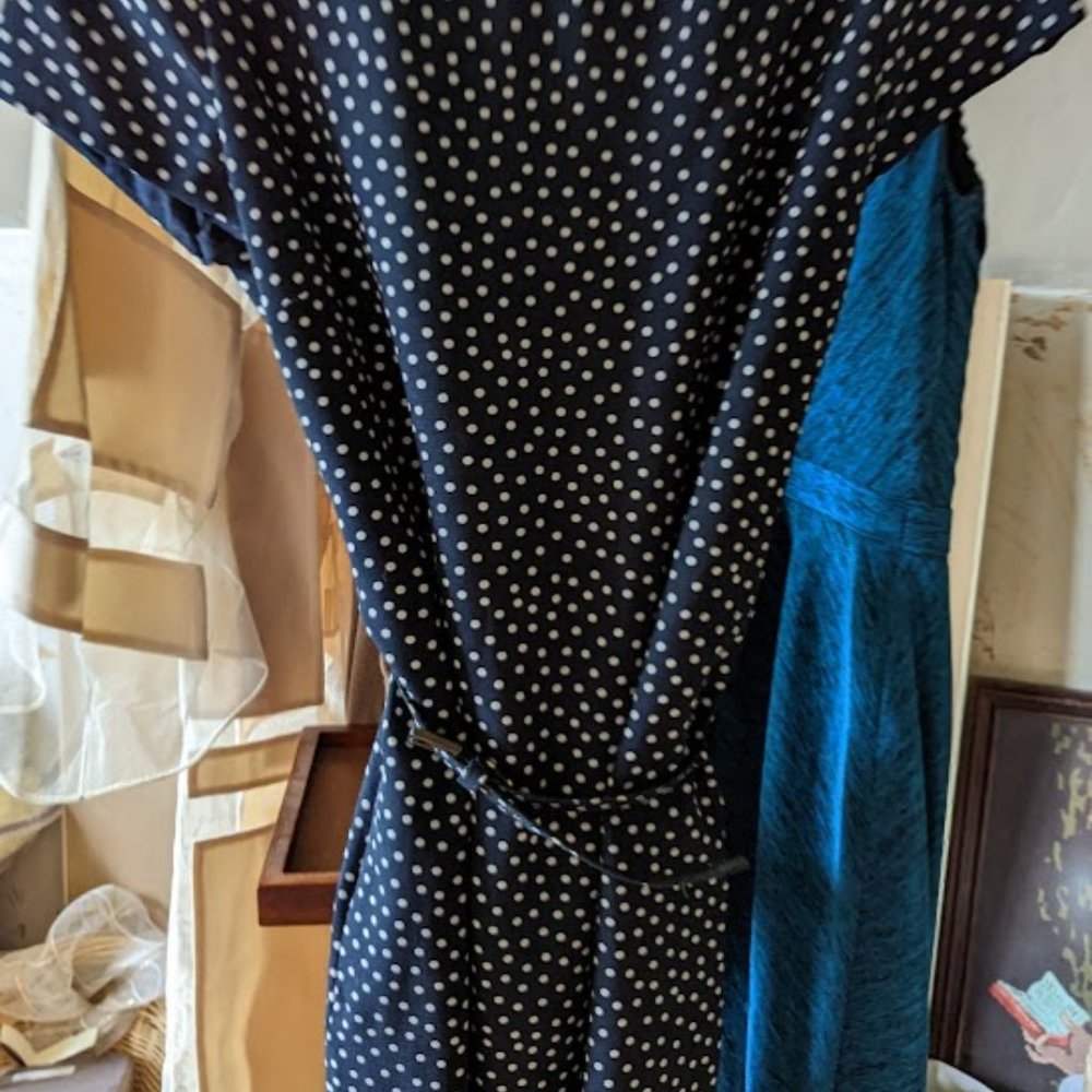 MaxMara Weekend Polka Dot Dress Size 6